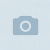 Vamix 31